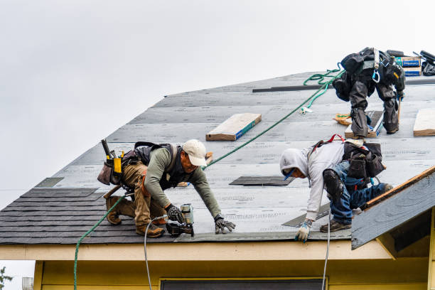 Professional Storm Damage Roof Repair technician working in Leicester, NY